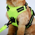 Customizable Pet Harnesses Set: harness、collar、leash、poop bag holder、bowtie、bandana