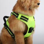Customizable Pet Harnesses Set: harness、collar、leash、poop bag holder、bowtie、bandana