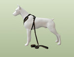 Customizable Pet Harnesses Set: harness、collar、leash、poop bag holder、bowtie、bandana