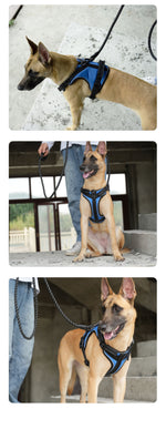 Customizable Pet Harnesses Set: harness、collar、leash、poop bag holder、bowtie、bandana