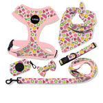 Customizable Pet Harnesses Set: harness、collar、leash、poop bag holder、bowtie、bandana