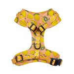 Customizable Pet Harnesses Set: harness、collar、leash、poop bag holder、bowtie、bandana