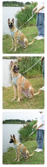 Customizable Pet Harnesses Set: harness、collar、leash、poop bag holder、bowtie、bandana