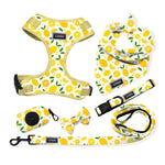 Customizable Pet Harnesses Set: harness、collar、leash、poop bag holder、bowtie、bandana