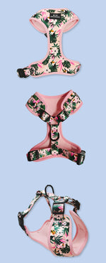 Customizable Pet Harnesses Set: harness、collar、leash、poop bag holder、bowtie、bandana