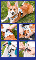 Customizable Pet Harnesses Set: harness、collar、leash、poop bag holder、bowtie、bandana