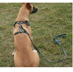 Customizable Pet Harnesses Set: harness、collar、leash、poop bag holder、bowtie、bandana