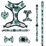 Customizable Pet Harnesses Set: harness、collar、leash、poop bag holder、bowtie、bandana