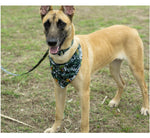 Customizable Pet Harnesses Set: harness、collar、leash、poop bag holder、bowtie、bandana