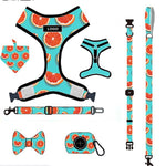 Customizable Pet Harnesses Set: harness、collar、leash、poop bag holder、bowtie、bandana