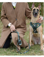 Customizable Pet Harnesses Set: harness、collar、leash、poop bag holder、bowtie、bandana