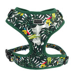 Customizable Pet Harnesses Set: harness、collar、leash、poop bag holder、bowtie、bandana
