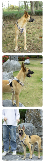 Customizable Pet Harnesses Set: harness、collar、leash、poop bag holder、bowtie、bandana
