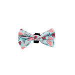 Customizable Pet Harnesses Set: harness、collar、leash、poop bag holder、bowtie、bandana