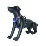 Customizable Pet Harnesses Set: harness、collar、leash、poop bag holder、bowtie、bandana