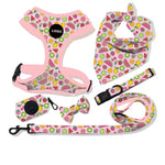 Customizable Pet Harnesses Set: harness、collar、leash、poop bag holder、bowtie、bandana