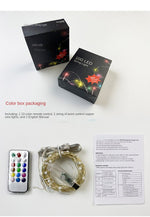 Christmas LED String Light丨USB Powered Remote Control 12 Adjustable Color Holiday Decoration